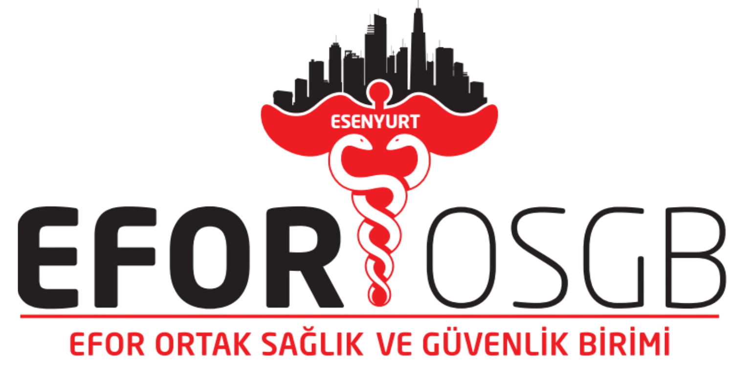 EFOR OSGB