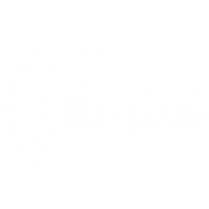 Koçluk Merkezi